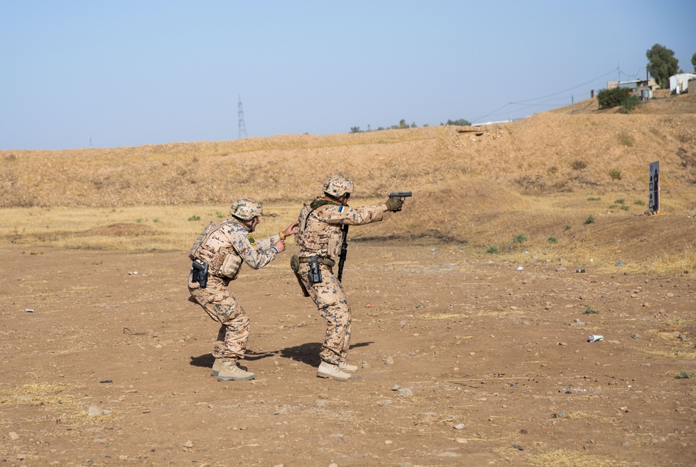 Coalition Members Conduct Weapons Training at Beneslawa Range