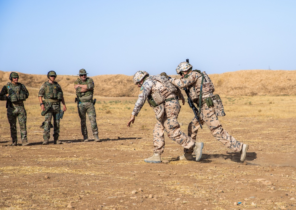 Coalition Members Conduct Weapons Training at Beneslawa Range