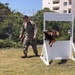Military Working Dog Training