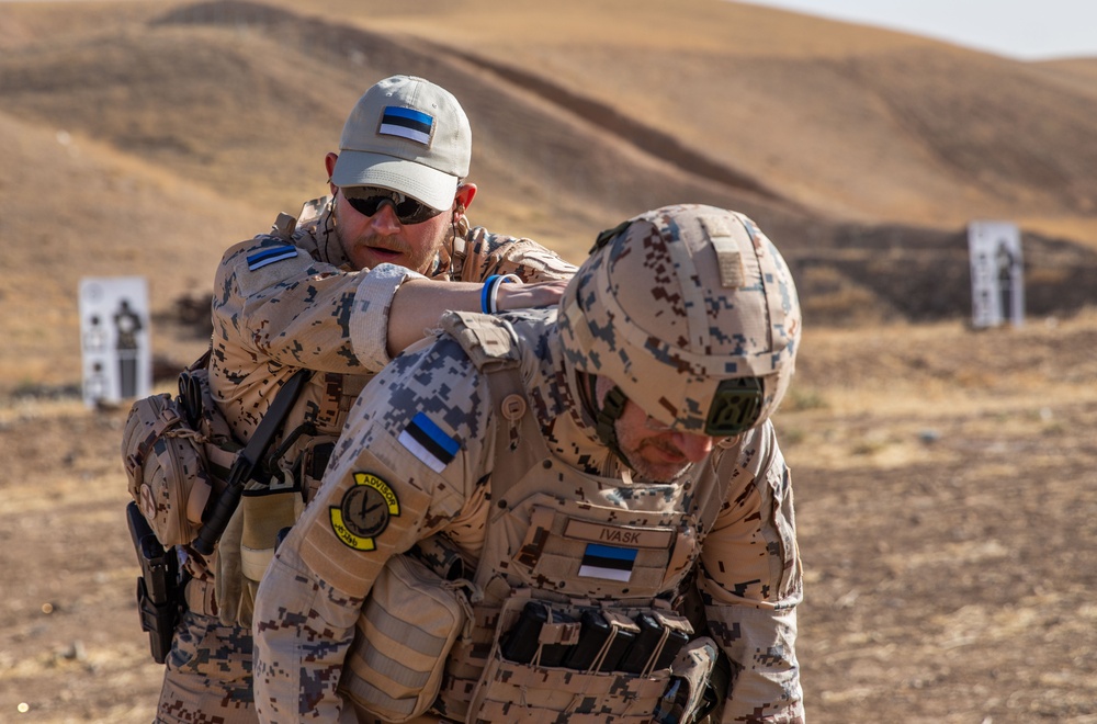Coalition Members Conduct Weapons Training at Beneslawa Range