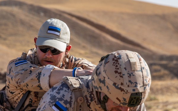 Coalition Members Conduct Weapons Training at Beneslawa Range