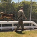 Military Working Dog Training