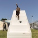 Military Working Dog Training