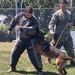 Military Working Dog Training