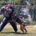 Military Working Dog Training