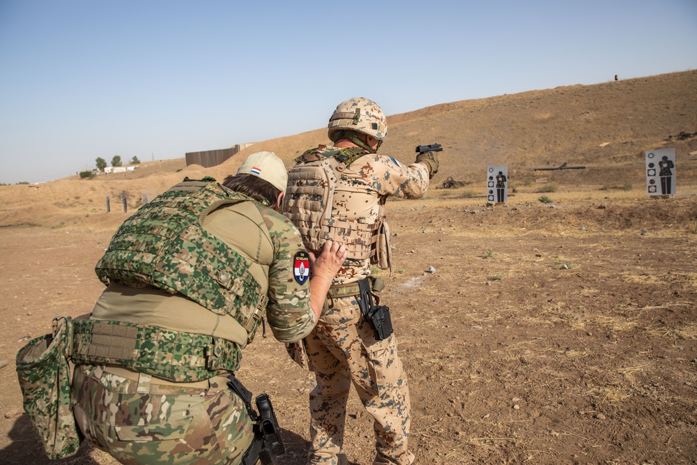 Coalition Members Conduct Weapons Training at Beneslawa Range