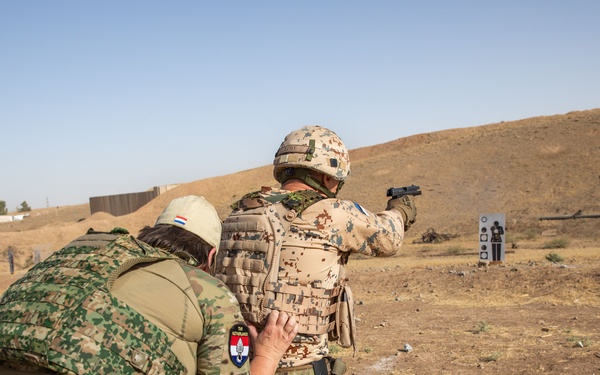 Coalition Members Conduct Weapons Training at Beneslawa Range