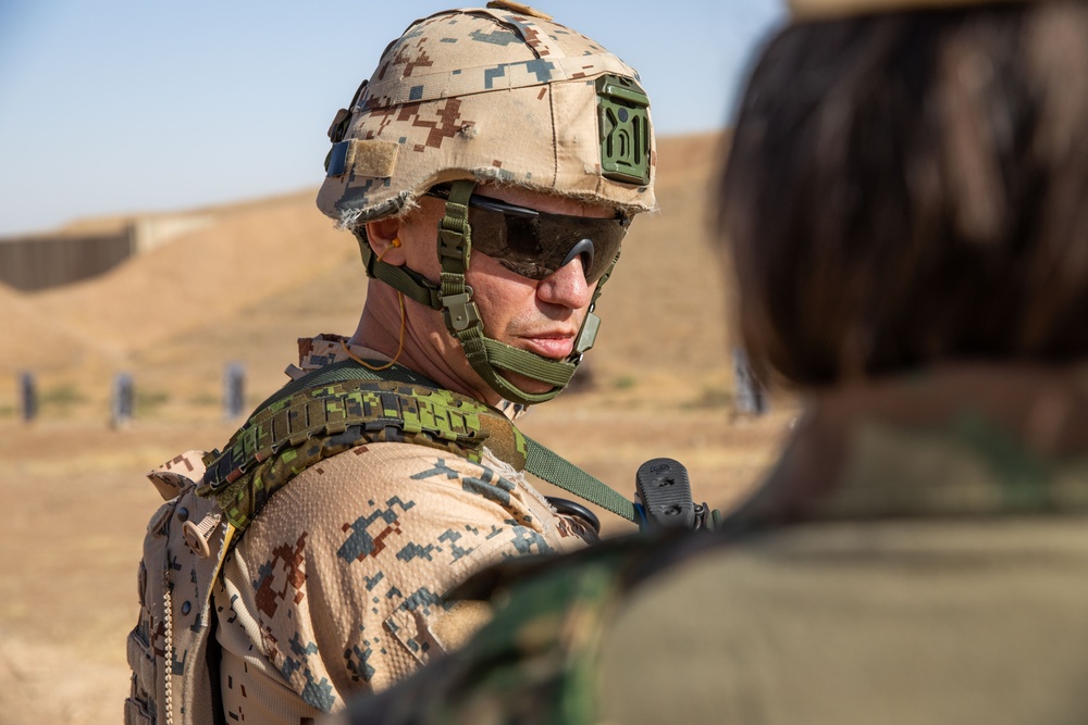 Coalition Members Conduct Weapons Training at Beneslawa Range