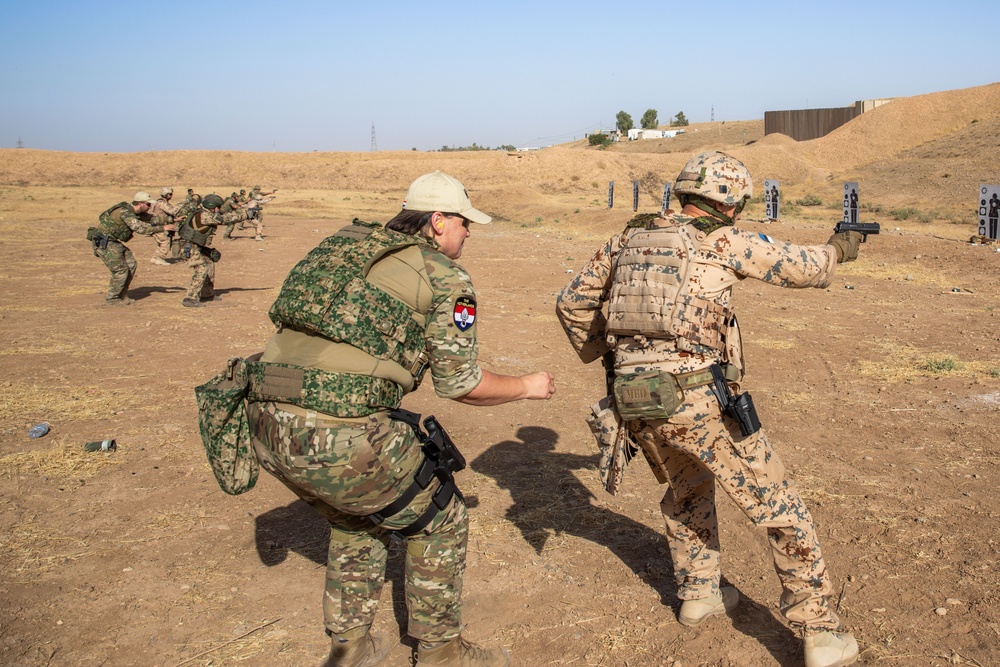 Coalition Members Conduct Weapons Training at Beneslawa Range