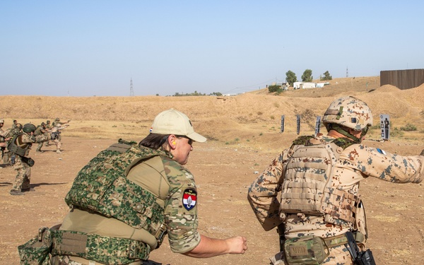 Coalition Members Conduct Weapons Training at Beneslawa Range