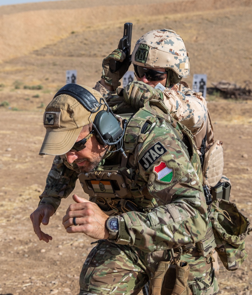 Coalition Members Conduct Weapons Training at Beneslawa Range