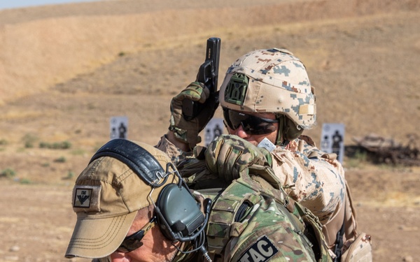 Coalition Members Conduct Weapons Training at Beneslawa Range