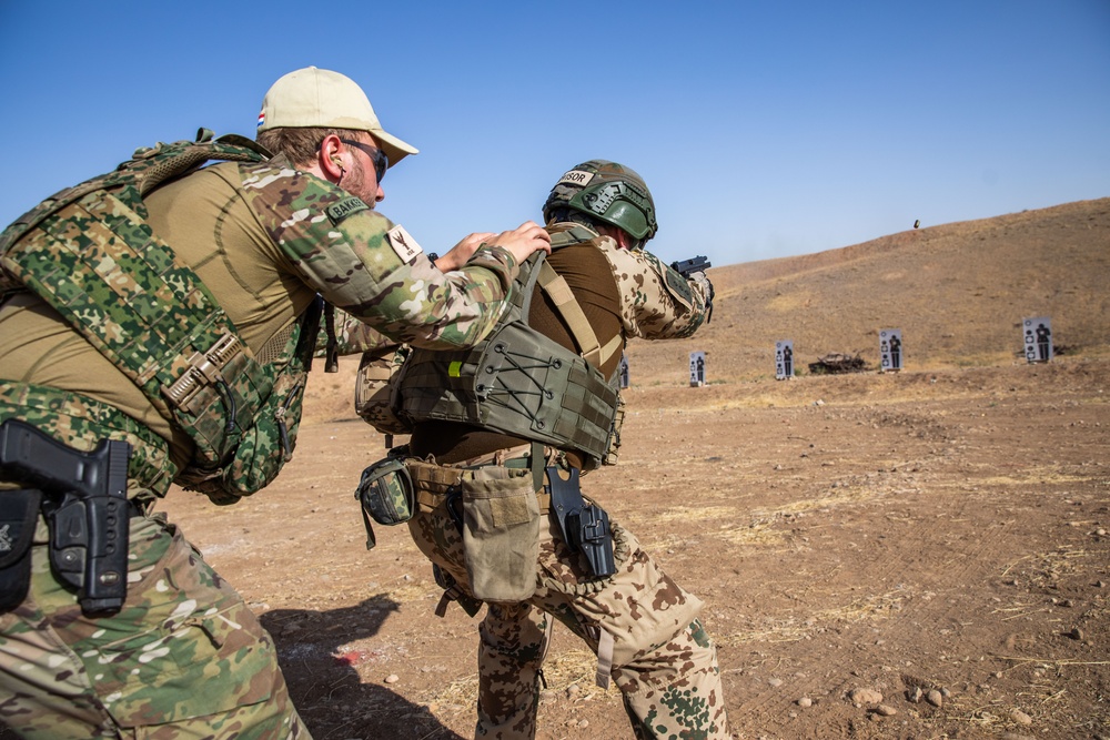 Coalition Members Conduct Weapons Training at Beneslawa Range