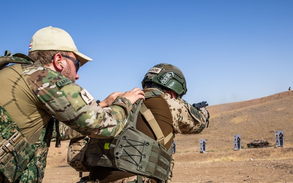 Coalition Members Conduct Weapons Training at Beneslawa Range