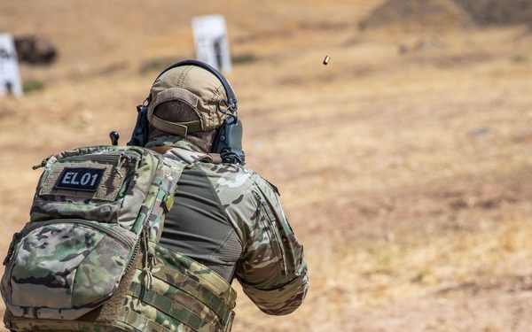 Coalition Members Conduct Weapons Training at Beneslawa Range