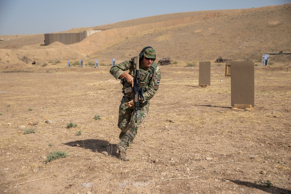 Coalition Members Conduct Weapons Training at Beneslawa Range