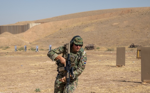 Coalition Members Conduct Weapons Training at Beneslawa Range