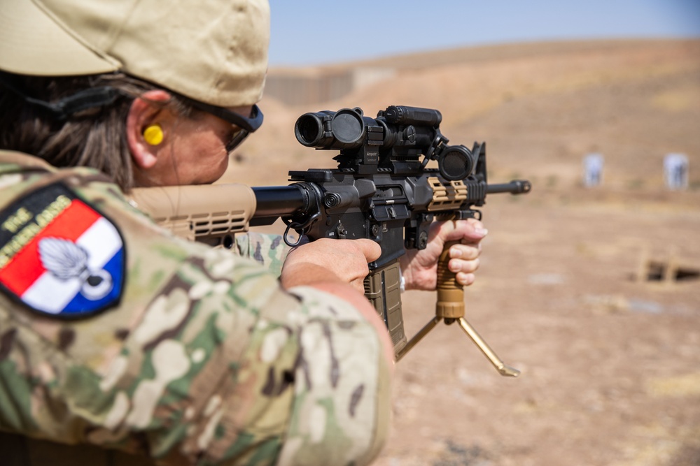 Coalition Members Conduct Weapons Training at Beneslawa Range