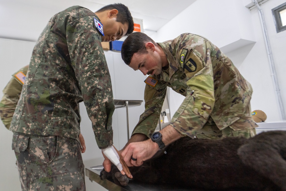 Pacific Partnership 2025 Leaders provide veterinary training in Lae, Papua New Guinea, July 2025