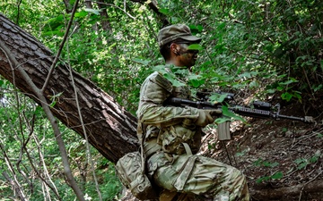Brutal Company Takes the Hill: 4-9 Infantry Soldiers Conduct Situational Training in Camp Casey