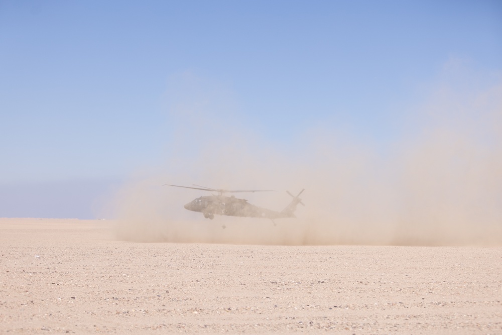DVIDS - Images - Pathfinder Training [Image 4 of 20]