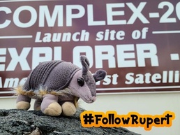 Rupert the Space Armadillo