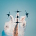 The Wings Over Wyoming Air Show 2025