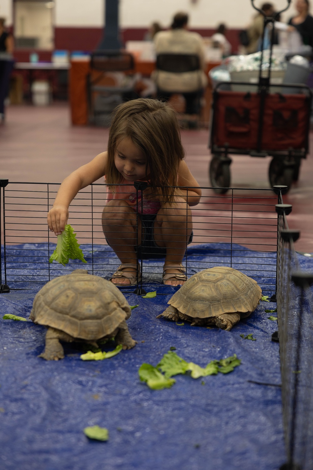 The Combat Center hosts a back-to-school event