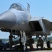 104th Fighter Wing performs rapid rearming and refueling during joint Distributed Integrated Combat Turn Capstone Exercise