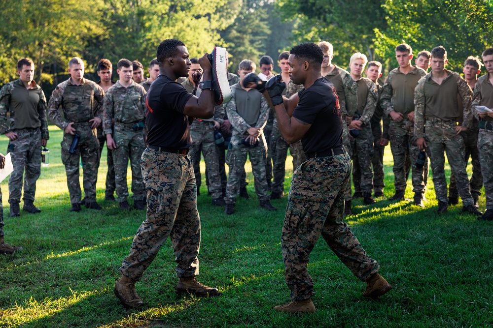Virginia Tempest: British Royal Marines conduct physical training circuit