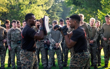 Virginia Tempest: British Royal Marines conduct physical training circuit