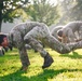 Virginia Tempest: British Royal Marines conduct physical training circuit
