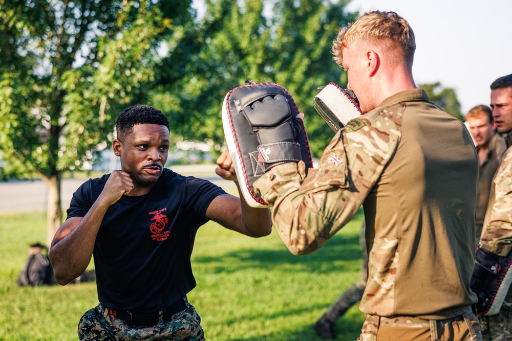 Virginia Tempest: British Royal Marines conduct physical training circuit