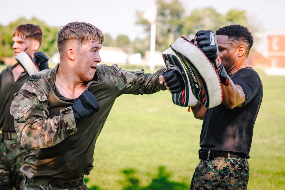 Virginia Tempest: British Royal Marines conduct physical training circuit