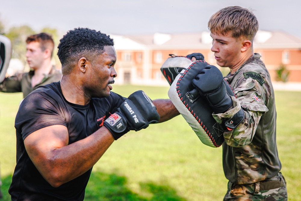 Virginia Tempest: British Royal Marines conduct physical training circuit