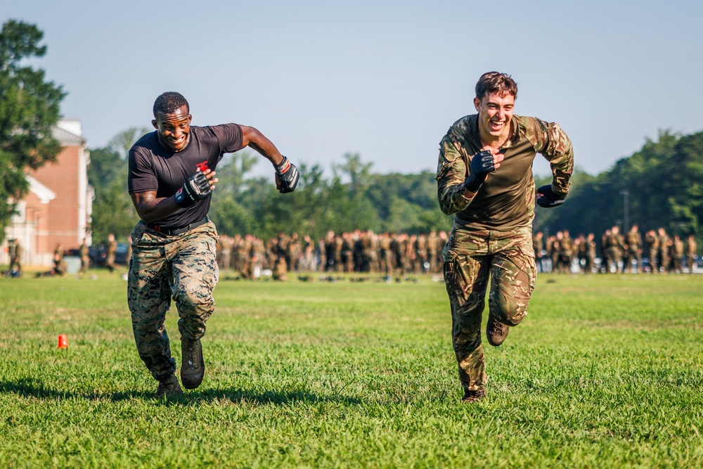 Virginia Tempest: British Royal Marines conduct physical training circuit