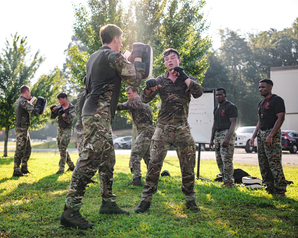 Virginia Tempest: British Royal Marines conduct physical training circuit