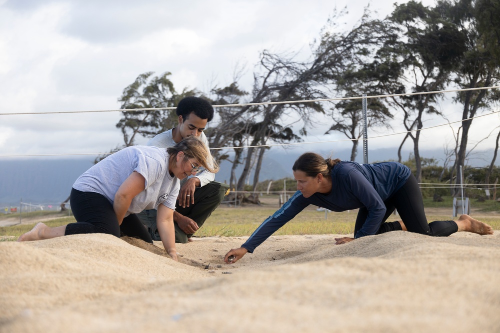 MCBH and Malama i na Honu Continue Sea Turtle Nest Excavation
