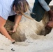 MCBH and Malama i na Honu Continue Sea Turtle Nest Excavation