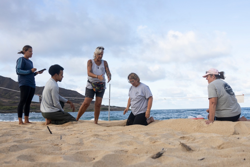 MCBH and Malama i na Honu Continue Sea Turtle Nest Excavation