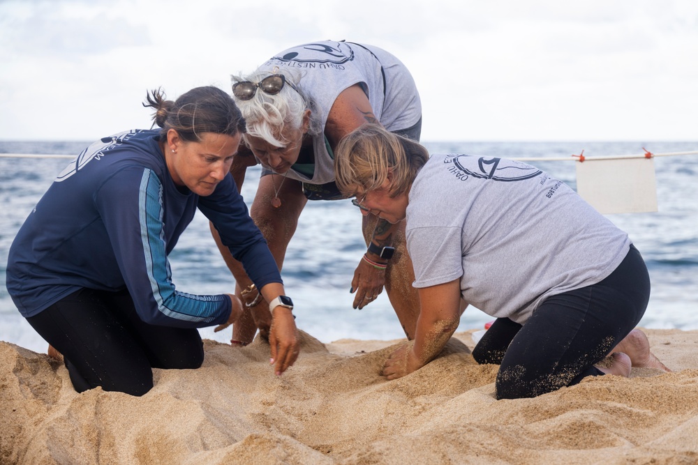 MCBH and Malama i na Honu Continue Sea Turtle Nest Excavation