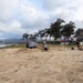 MCBH and Malama i na Honu Continue Sea Turtle Nest Excavation