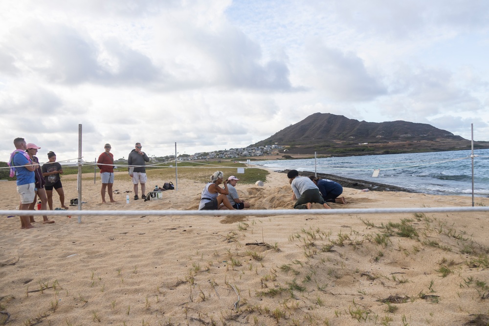 MCBH and Malama i na Honu Continue Sea Turtle Nest Excavation
