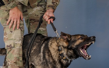 Malmstrom MWD teams bring mission to life for local kids camp