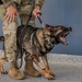 Malmstrom MWD teams bring mission to life for local kids camp