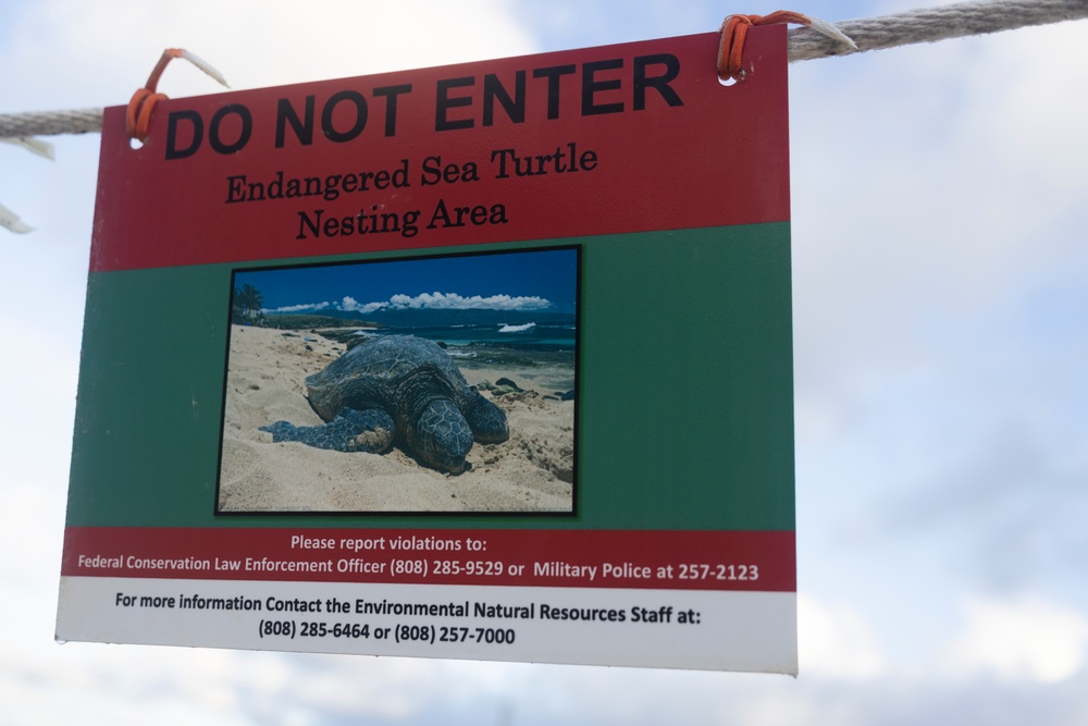 MCBH and Malama i na Honu Continue Sea Turtle Nest Excavation