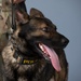 Malmstrom MWD teams bring mission to life for local kids camp
