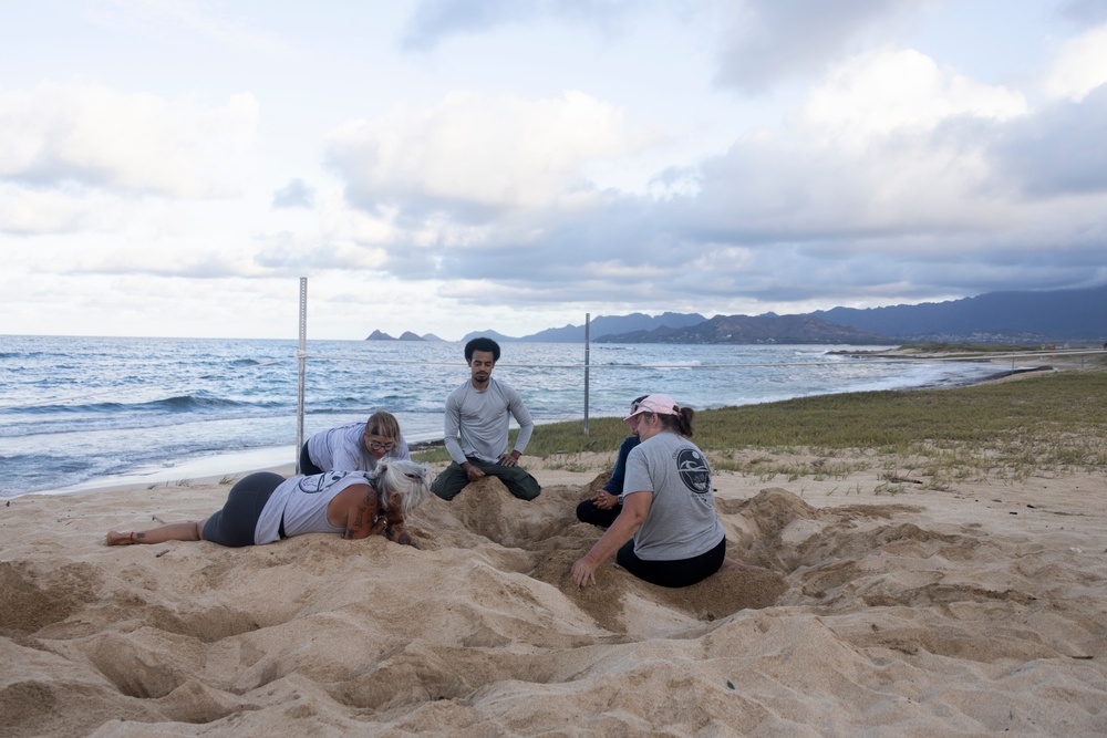 MCBH and Malama i na Honu Continue Sea Turtle Nest Excavation