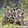 D.C. National Guard, Jamaican, Barbadian Forces Test Skills in Joint Caribbean Exercise