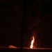 2-504 PIR Paratroopers Conduct 81mm Mortar LFX | Devil Avalanche